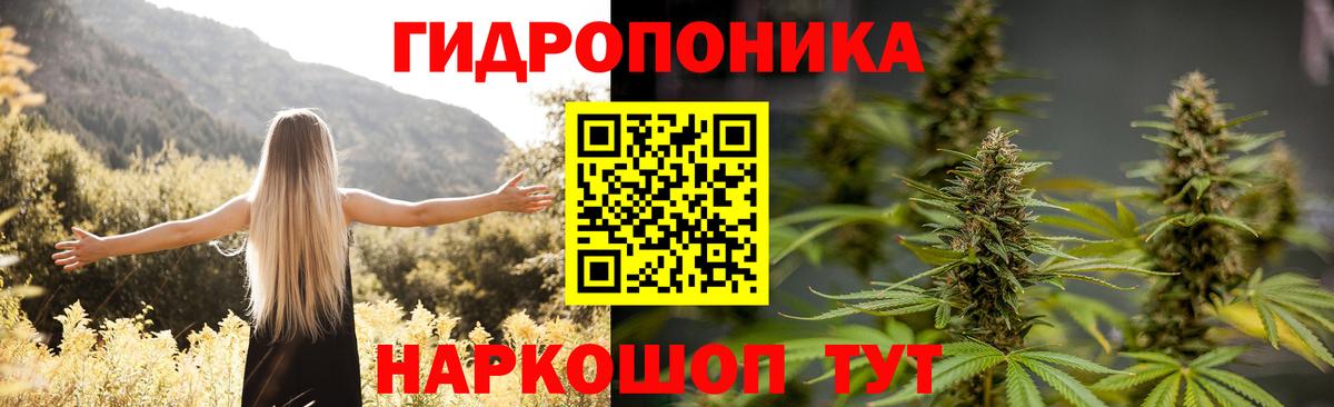 Канабис гибрид Светлоград